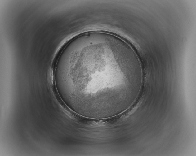 X0000116301509200912071238