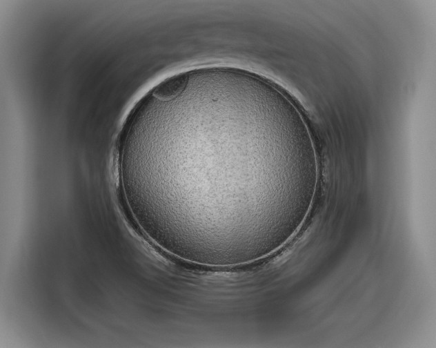 X0000116301510200912071238