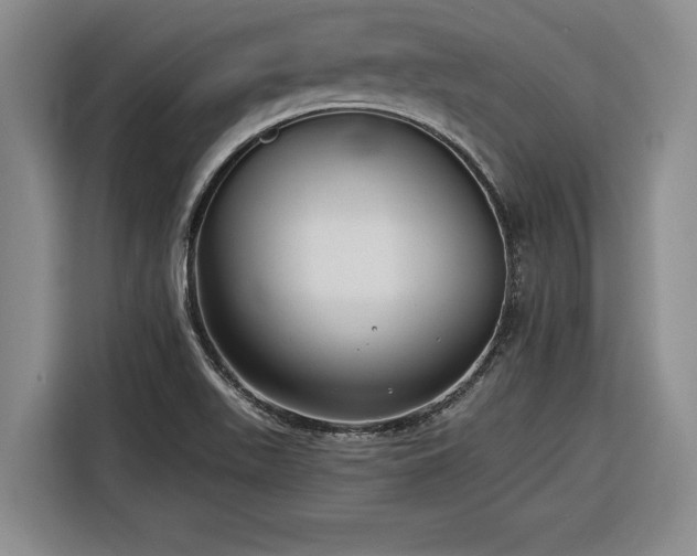 X0000116301511200912071238