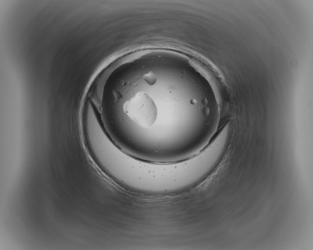 X0000116301514200912071238