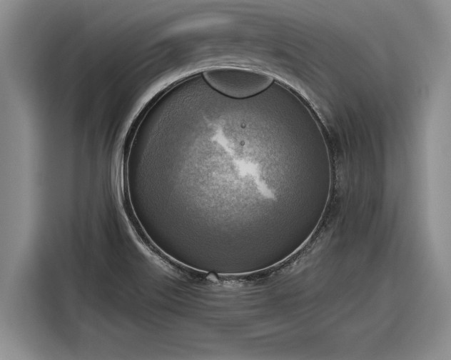 X0000116301515200912071238