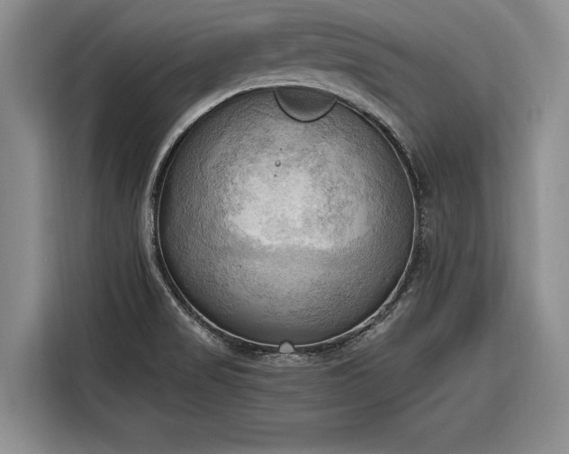 X0000116301517200912071238