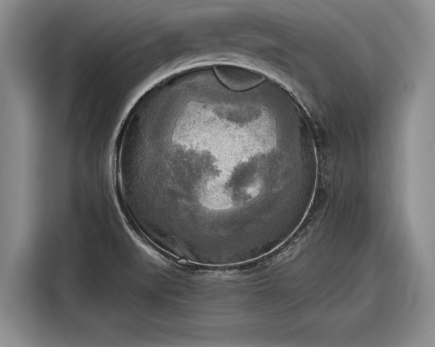 X0000116301519200912071238