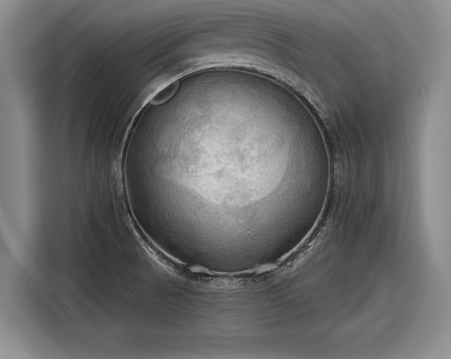 X0000116301521200912071238