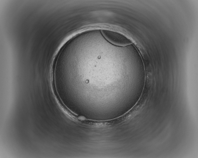 X0000116301523200912071238