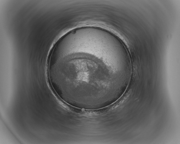 X0000116301525200912071238