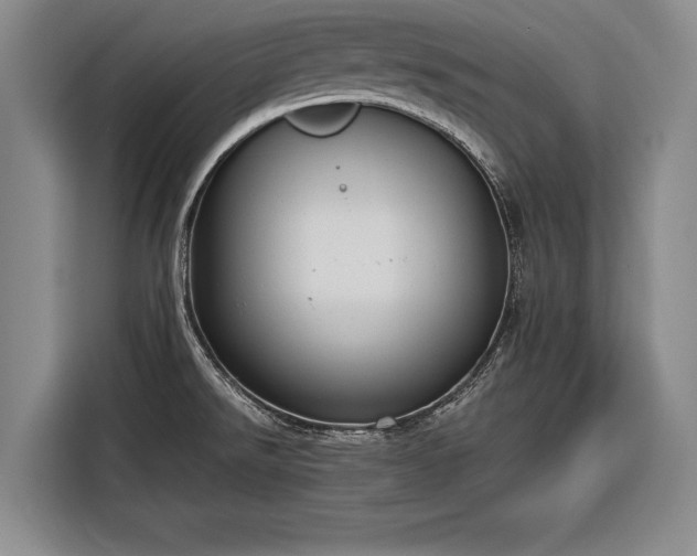 X0000116301526200912071238