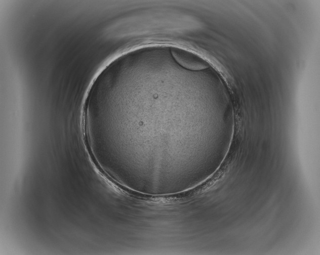 X0000116301527200912071238