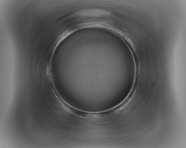 X0000116301529200912071238