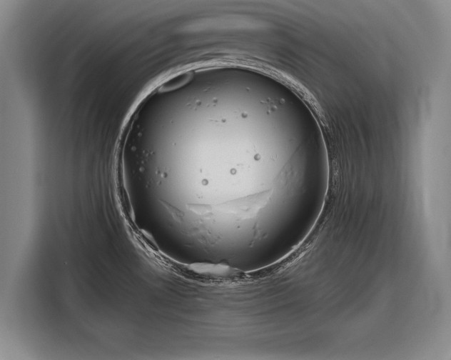 X0000116301530200912071238