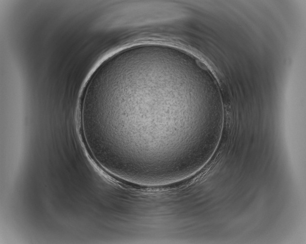 X0000116301531200912071238