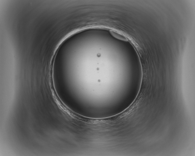 X0000116301534200912071238