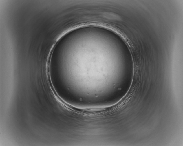 X0000116301535200912071238