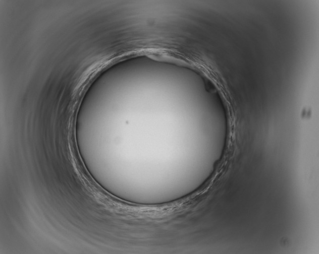 X0000116300001200912141346