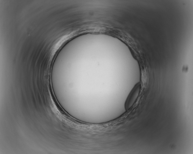 X0000116300003200912141346