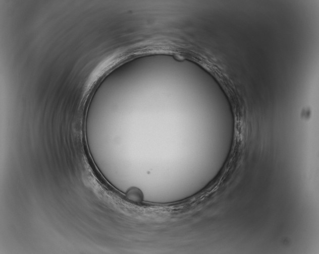 X0000116300004200912141346