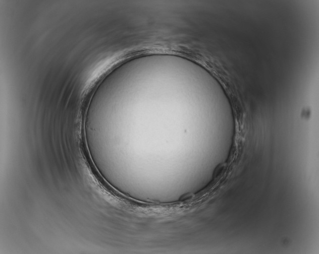 X0000116300005200912141346