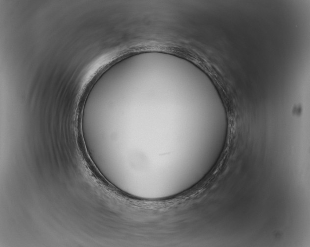 X0000116300006200912141346