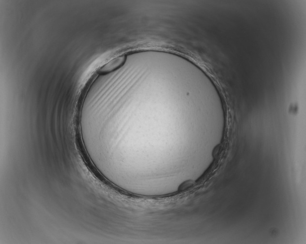 X0000116300007200912141346