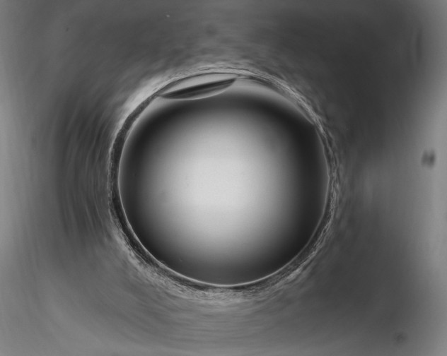 X0000116300008200912141346