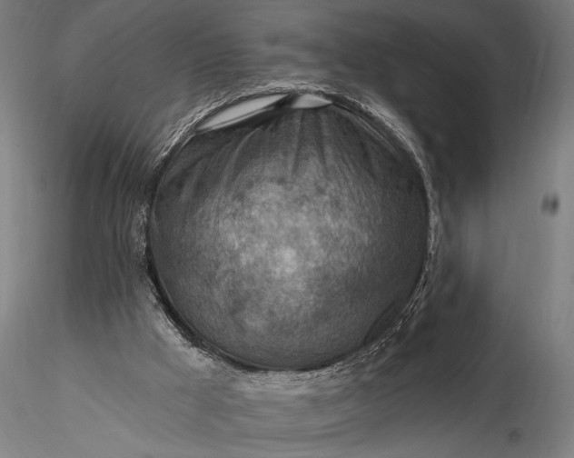 X0000116300009200912141346