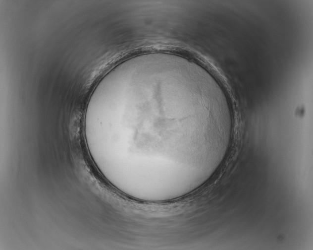 X0000116300010200912141346