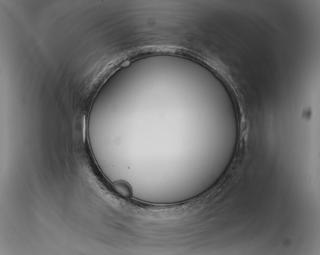 X0000116300013200912141346