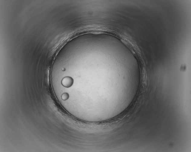 X0000116300014200912141346