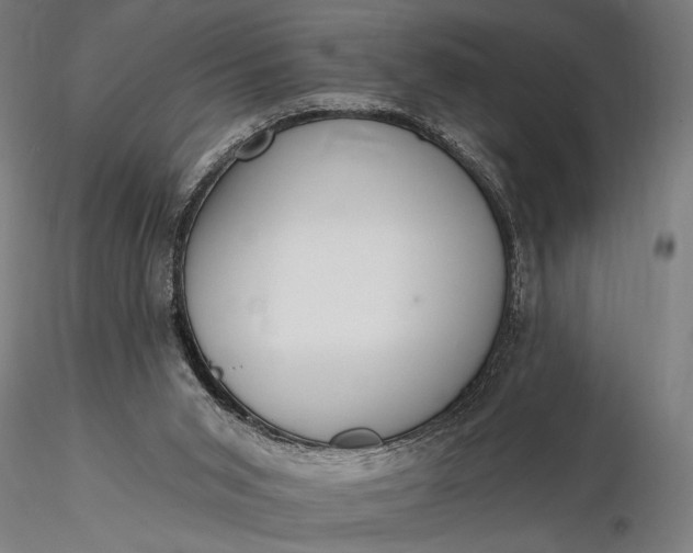 X0000116300015200912141346