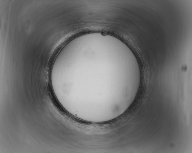 X0000116300016200912141346