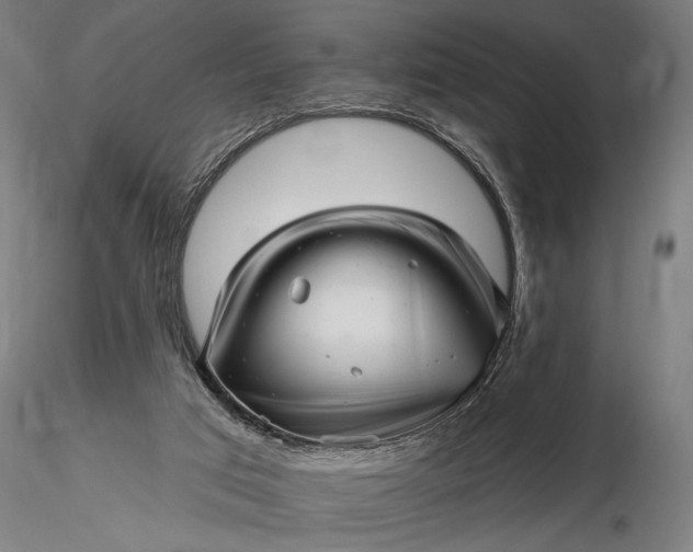 X0000116300017200912141346