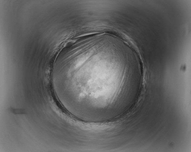 X0000116300018200912141346