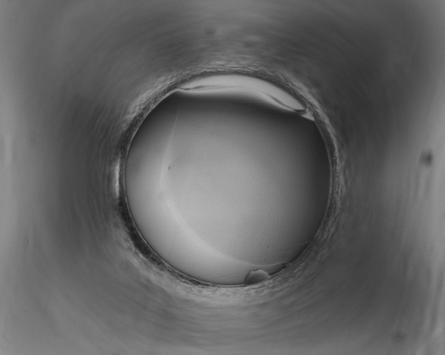 X0000116300019200912141346