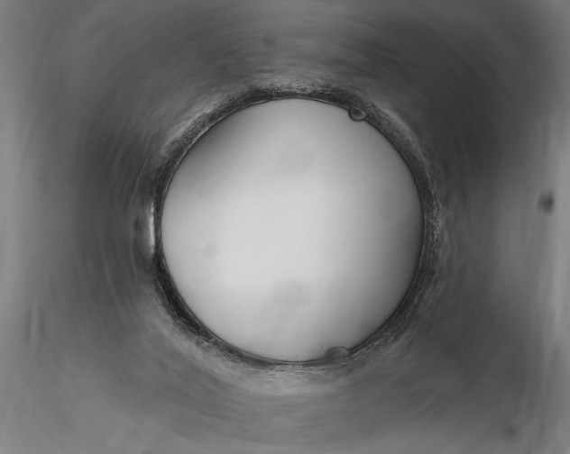 X0000116300020200912141346