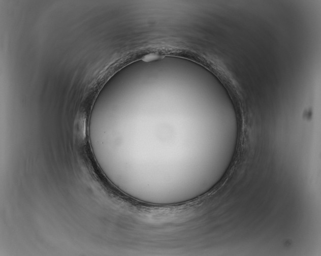 X0000116300021200912141346