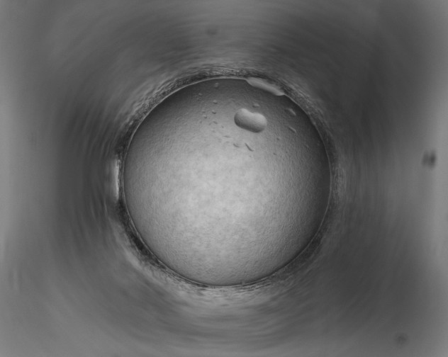 X0000116300022200912141346