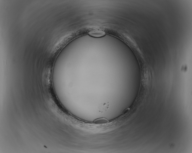 X0000116300023200912141346