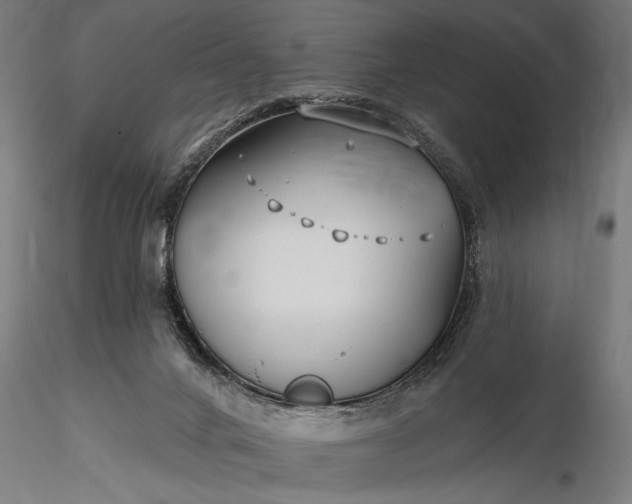 X0000116300024200912141346