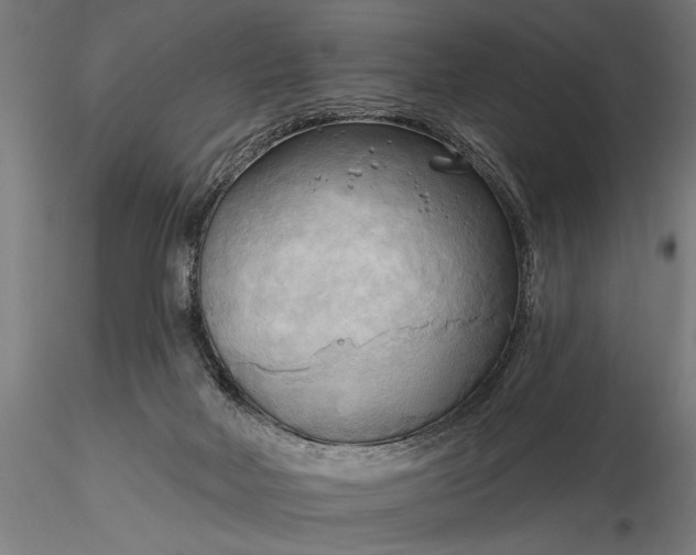 X0000116300026200912141346