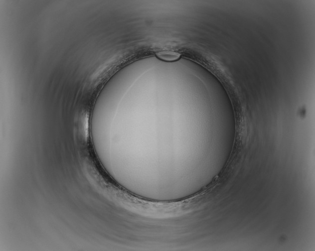 X0000116300027200912141346