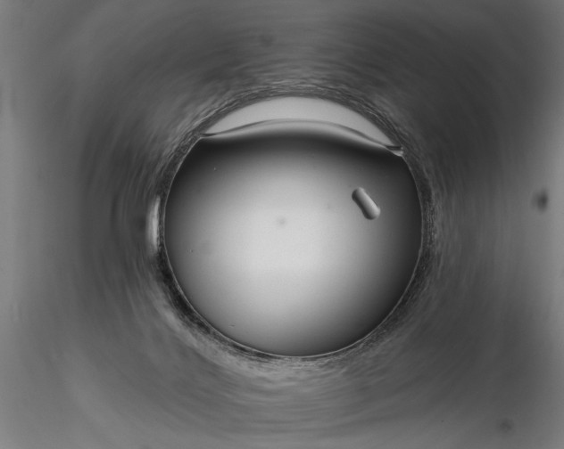 X0000116300028200912141346