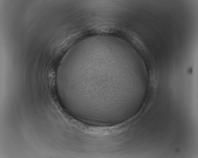 X0000116300029200912141345