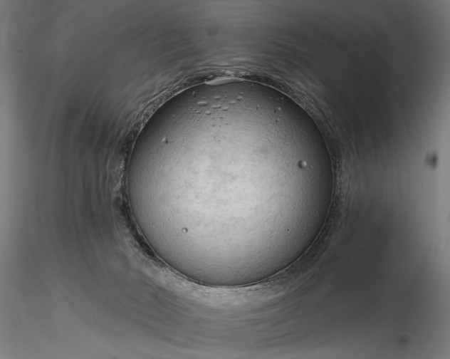 X0000116300030200912141345