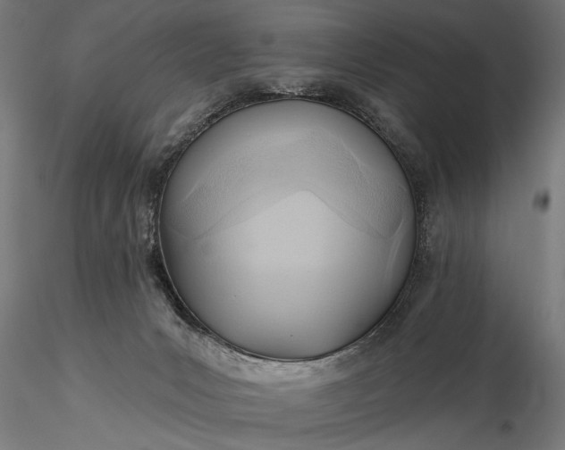 X0000116300031200912141345