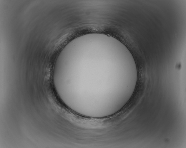 X0000116300032200912141345