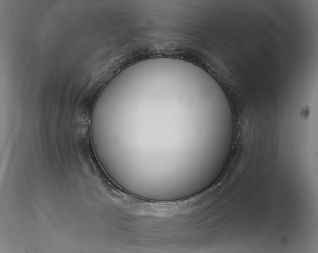 X0000116300033200912141345