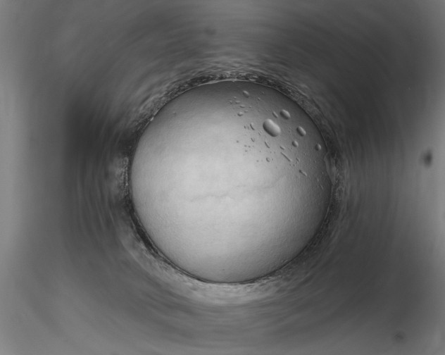 X0000116300034200912141345