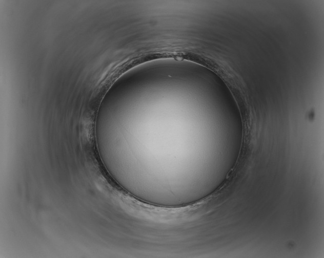 X0000116300035200912141345