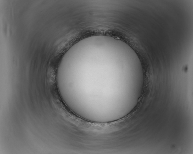 X0000116300037200912141345