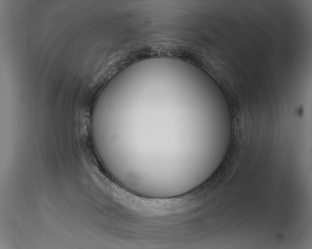 X0000116300038200912141345